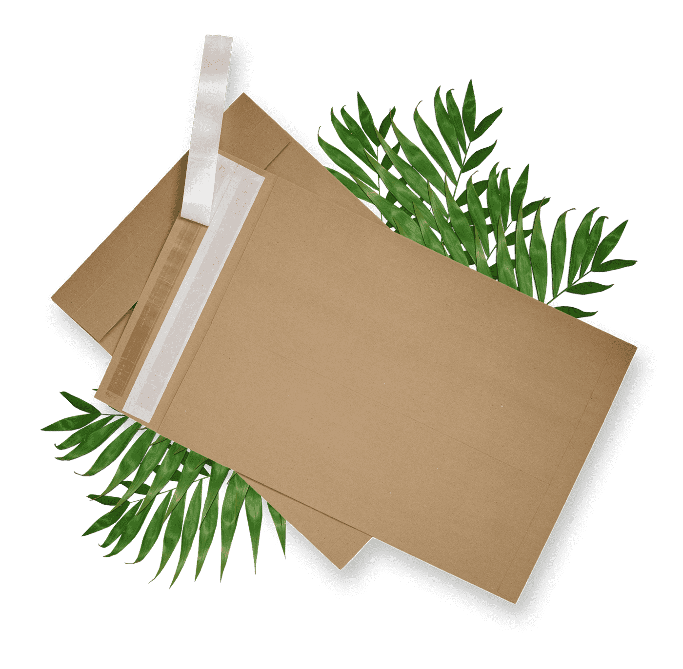 Sustainable Mailer
