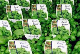 MGX Pressure Sensitive Label Paper