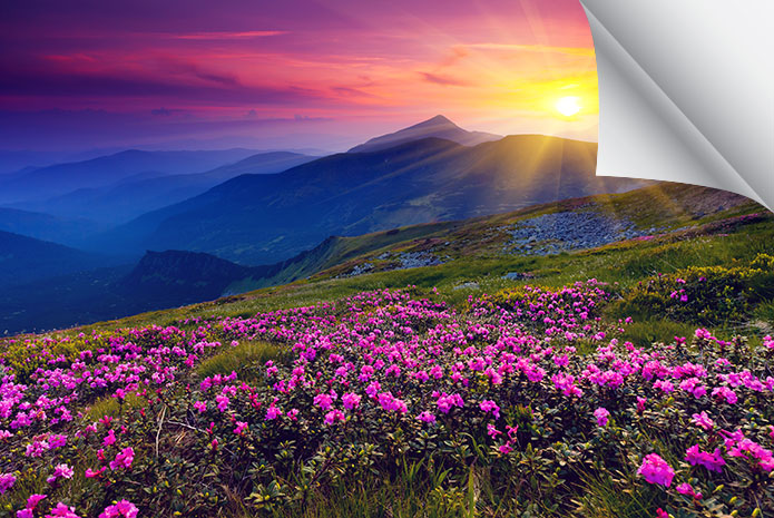 Canvas & Textile - Wide Format