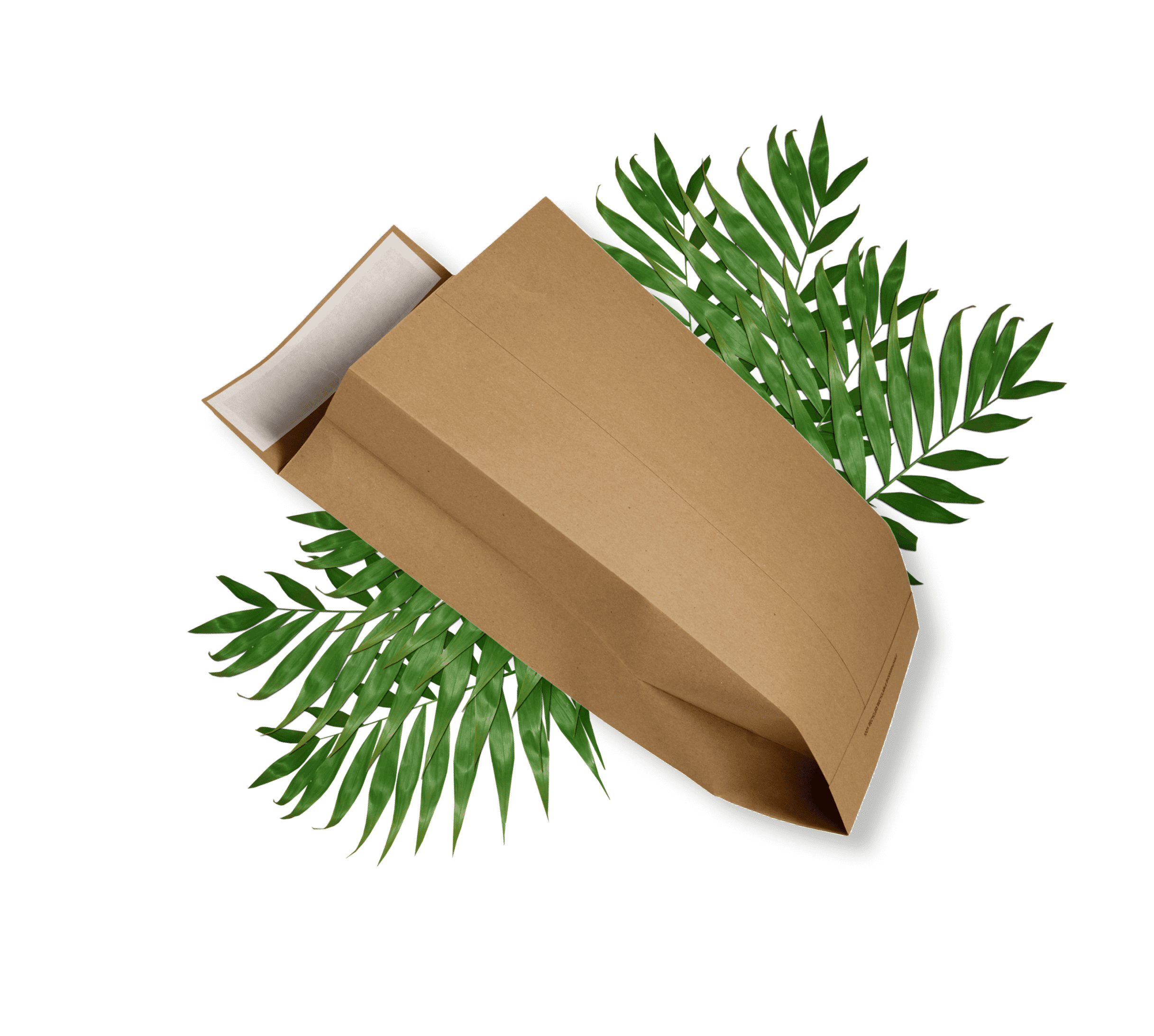 sustainable shipping envelope, expansion